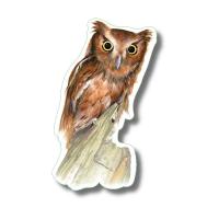 Eastern Screech Owl Stickers 10/pk-LEWERSSK2030