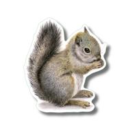 Gray Squirrel I Stickers 10/pk-LEWERSSK2037
