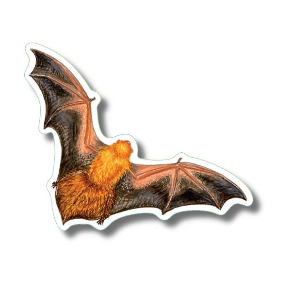 Eastern Red Bat Stickers 10/pk