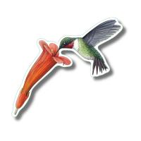 Ruby-throated Hummer Stickers 10/pk-LEWERSSK2047