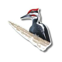 Pileated Woodpecker Stickers 10/pk-LEWERSSK2063