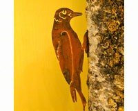 Woodpecker Bird Silhouette-ELEGANTB724