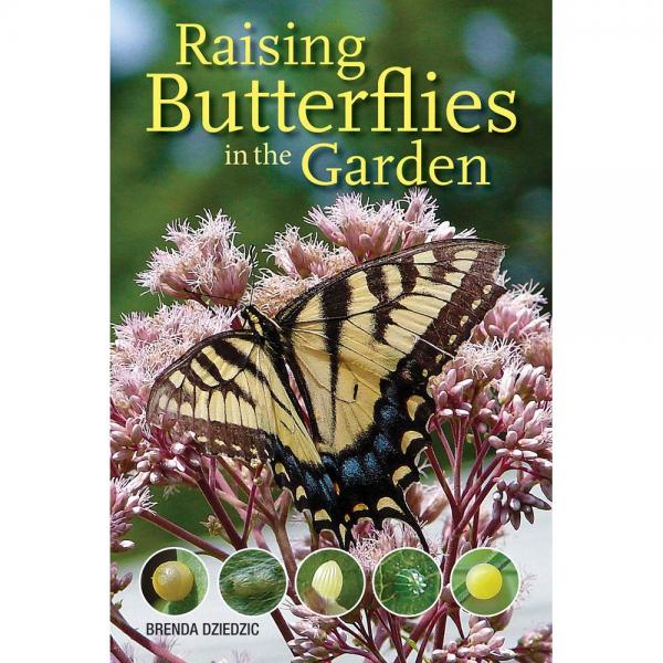 Raising Butterflies in the Garden by Brenda Dziedzic