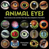Animal Eyes-FIRE0228104131