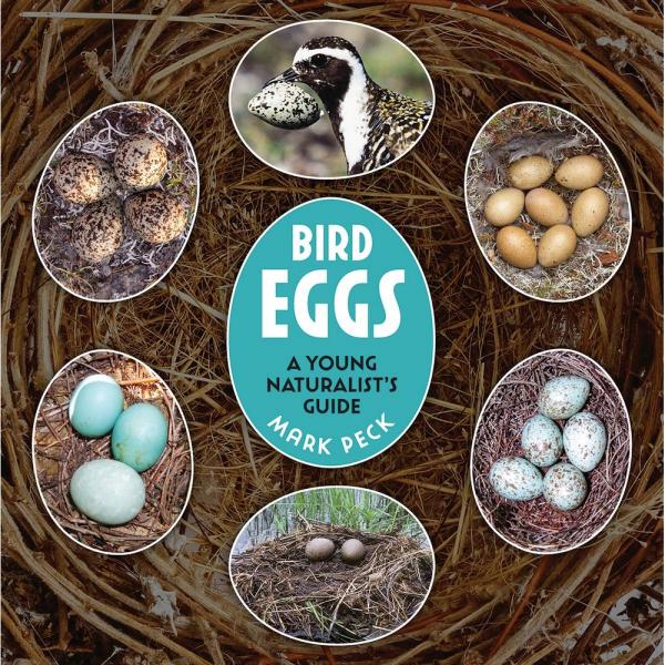 Bird Eggs: A Young Naturalist's Guide