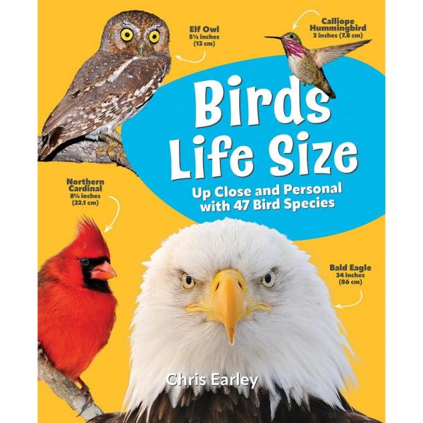 Birds Life Size: Up Close and Personal with 47 Bird Species Birds Life Size: Up Close and Personal with 47 Bird Species