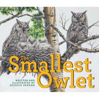 The Smallest Owlet-FIRE1554556144