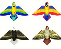 Birds of a Feather Kite Assortment-FC81370
