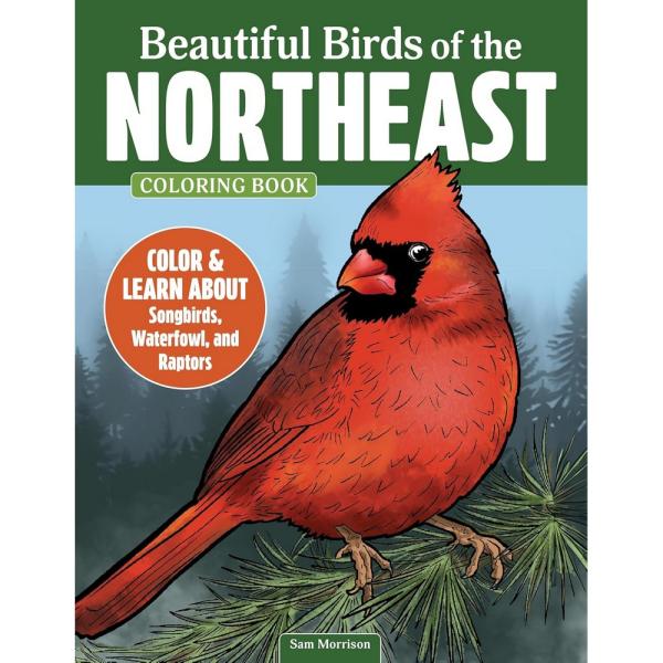 Beautiful Birds of the Northeast Coloring Book