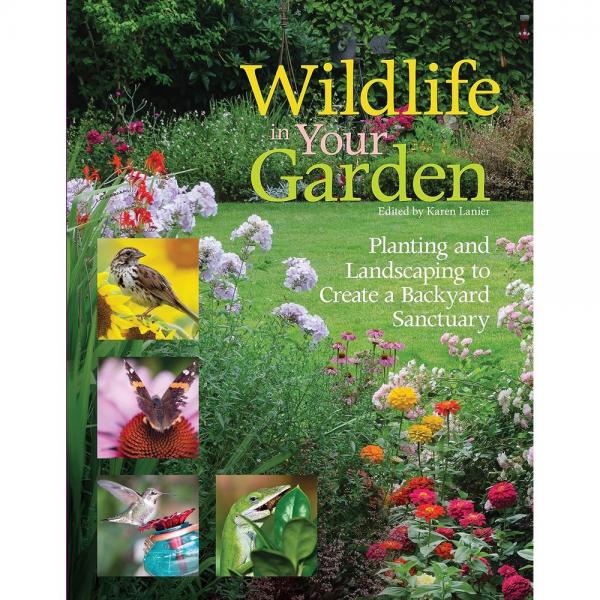 Wildlife in Your Garden