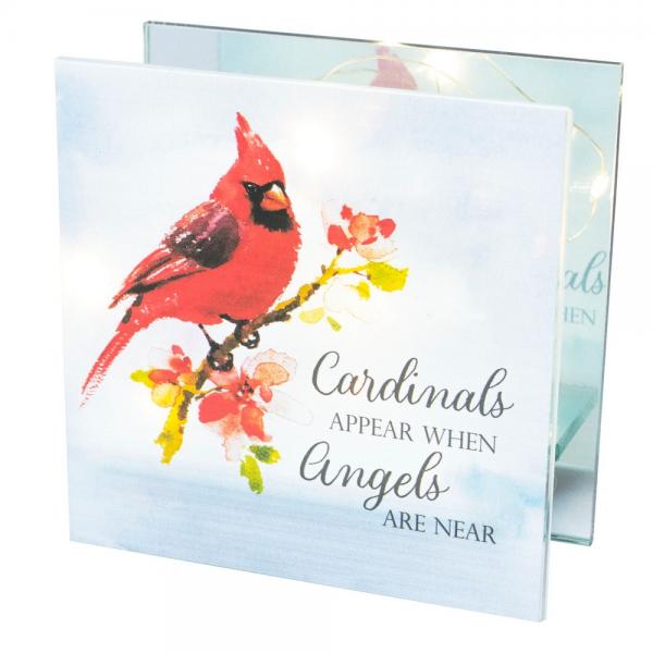 Cardinals Appear LED Light Box.