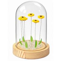 Yellow Daisy 4.7