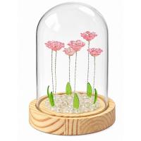 Pink Flower 4.7