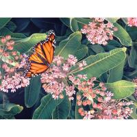 Monarch on Milkweed 1000 Piece Puzzle-GEP111