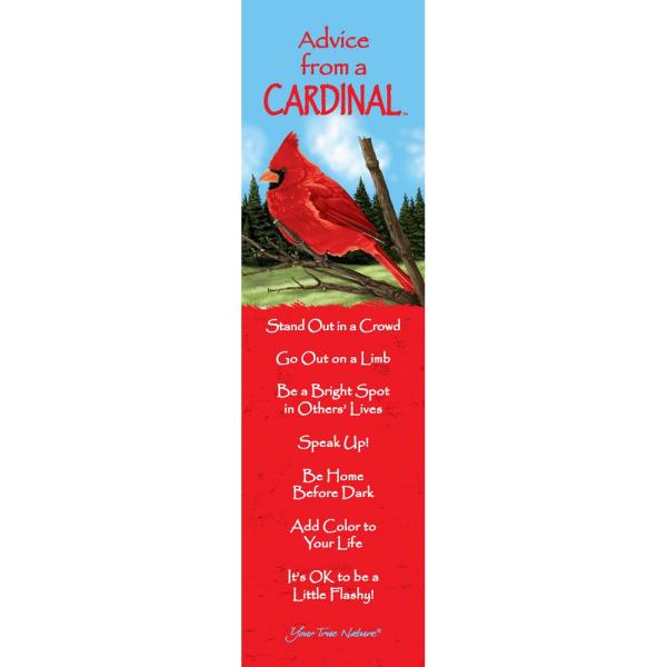 Cardinal Bookmark Advice 12 pc