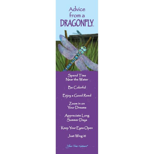 Advice from a Dragonfly 12 Pack