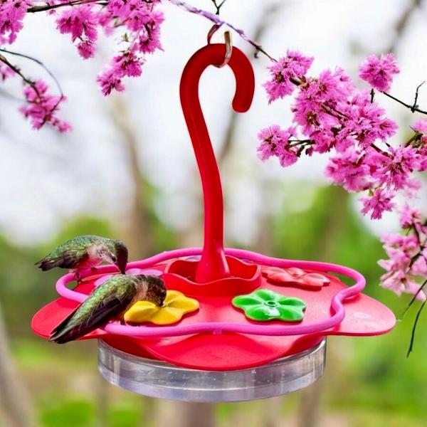 Glass Sipper Hummingbird Feeder 8oz