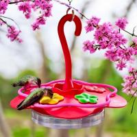Glass Sipper Hummingbird Feeder 8oz-GS0842