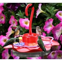 Glass Sipper Hummingbird Feeder 12oz-GS2407