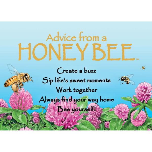 Advice for Life Bee Magnet 6 Pack
