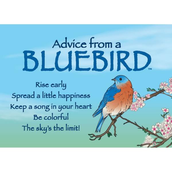 Advice for Life Bluebird Magnet 6 Pack
