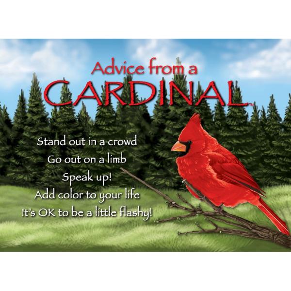 Advice for Life Cardinal Magnet Advice 6 Pack