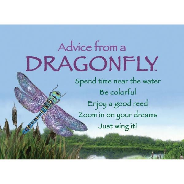 Advice for Life Dragonfly Magnet 6 Pack