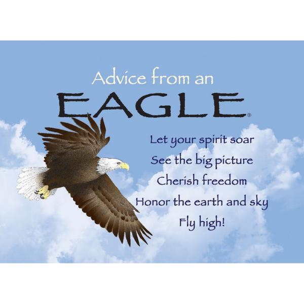 Advice for Life Eagle Magnet Advice 6 Pack