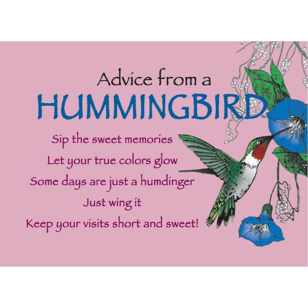 Advice for Life Hummingbird Magnet 6 Pack