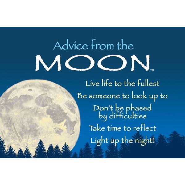 Moon Magnet Advice 6 pack