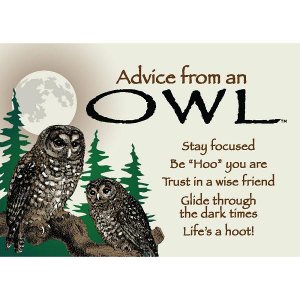 Advice For Life Owl Magnet 6 Piece Pack