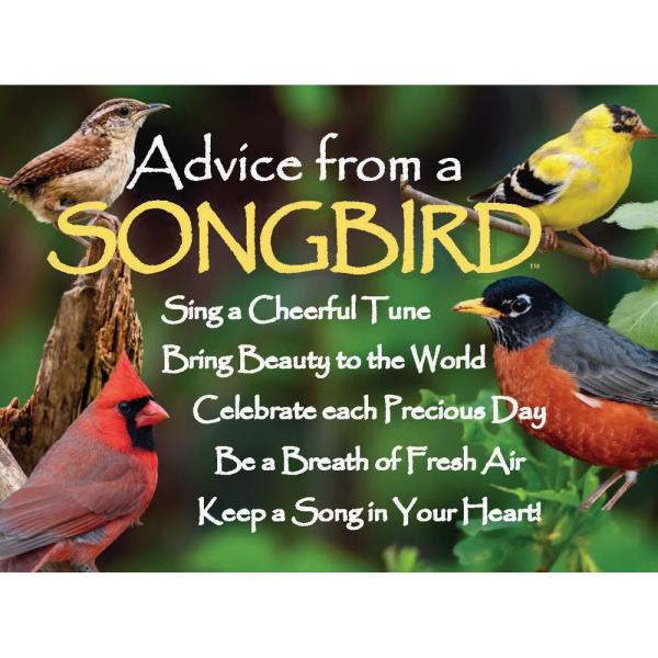 Advice For Life Songbird Magnet 6 Piece Pack