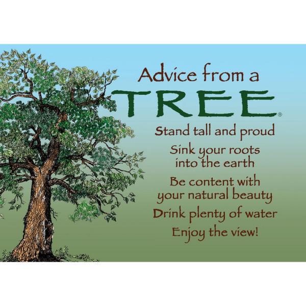 Tree Magnet Advice 6 pc