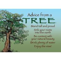 Tree Magnet Advice 6 pc-MGADVTRE6