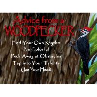 Advice for Life Woodpecker Magnet 6 Piece Pack-MGADVWDPKR6