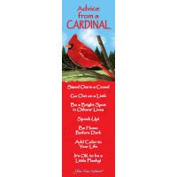 Cardinal Mini-Mark Advice 12 pack-MMADVCDNL12