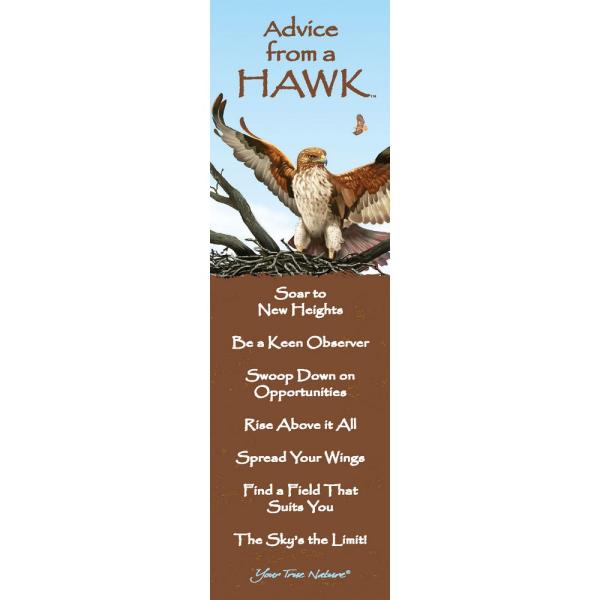 Hawk Mini-Mark Advice 12 pack