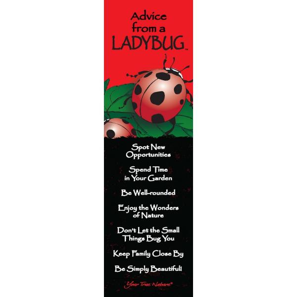 Ladybug Mini-Mark Advice 12 pack