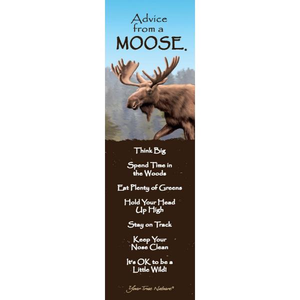 Moose Mini-Mark Advice 12 pack