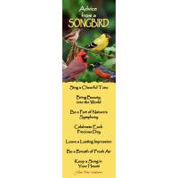 Songbird Mini-Mark Advice 12 pack-MMADVSONGBRD12