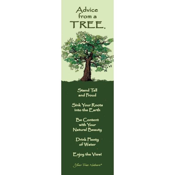 Tree Mini-Mark Advice 12 pack