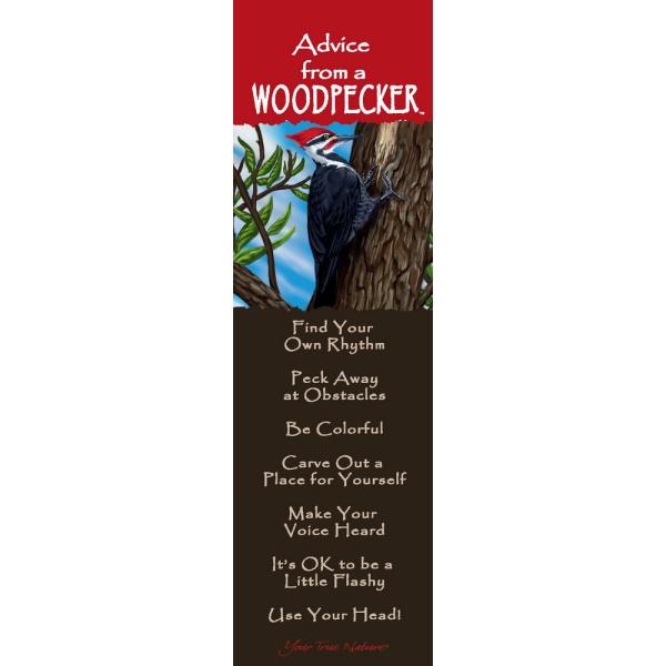 Woodpecker Mini-Mark Advice 12 pack