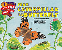 From Caterpillar to Butterfly-HC0062381830