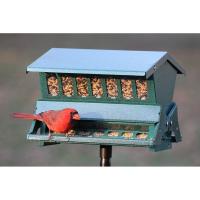 Audubon™ Absolute® II Squirrel Resistant Feeder-WL23802