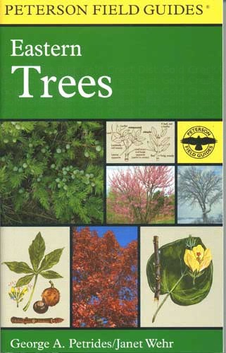 Peterson Field Guide To Eastern Trees