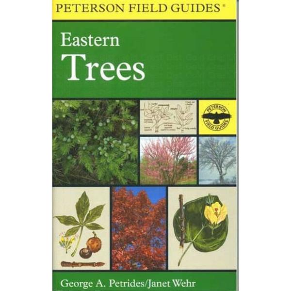 Peterson Field Guide To Eastern Trees