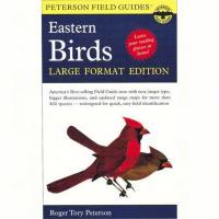 Eastern Birds Large Format Edition-HM9780395963715