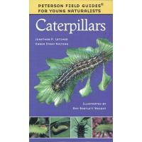 Young Naturalist Caterpillars-HM9780395979457