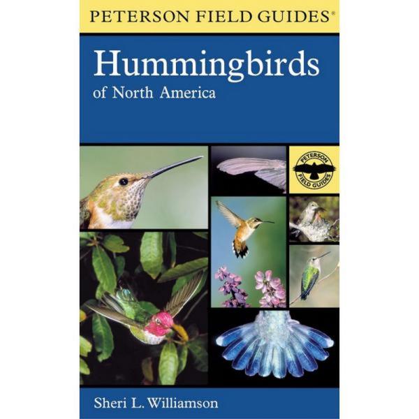 Hummingbirds of North America