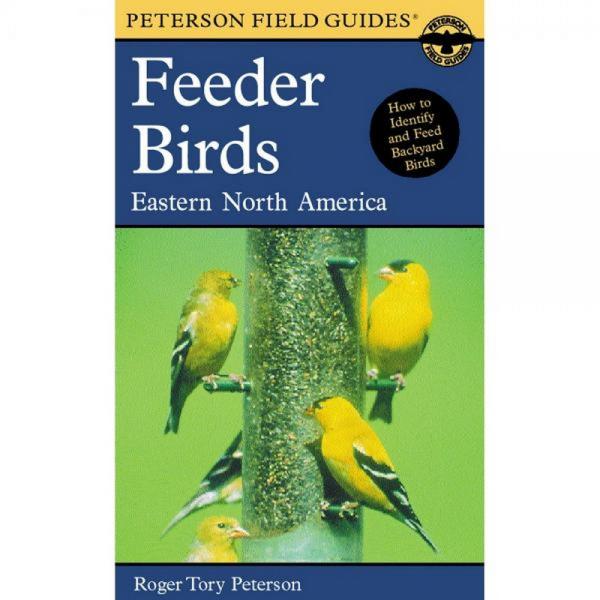 Feeder Birds Eastern North America-Large Format Edition